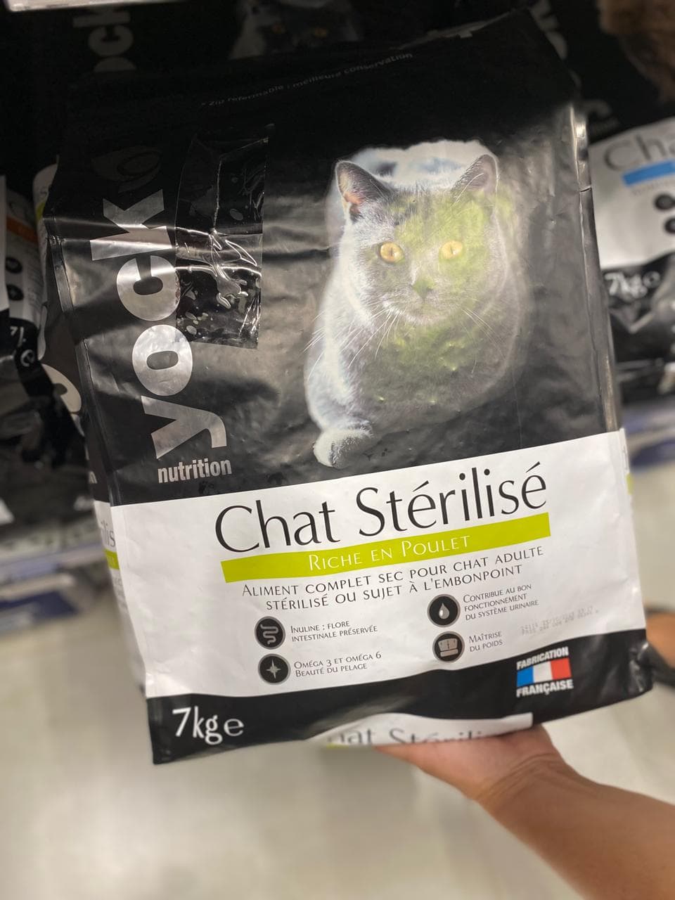 Croquettes référence 1